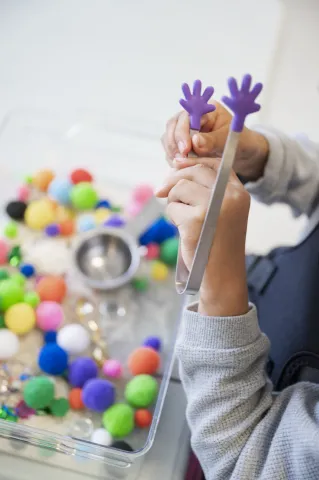 Occupational Therapist